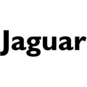 Jaguar Jaguar