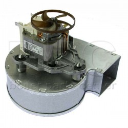 Ferroli Fan 39800440 Ferroli Fan 39800440