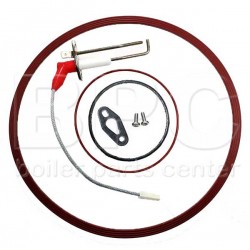 Remeha 720714201 Service Kit - Electrode + Gaskets Remeha 720714201 Service Kit - Electrode + Gaskets