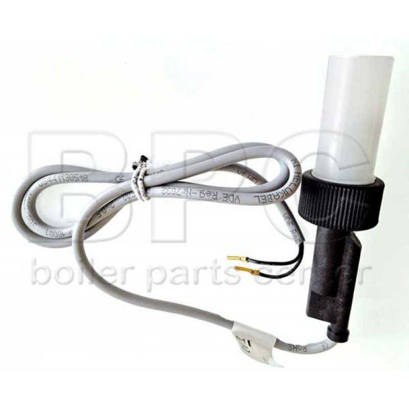 Worcester Flow Switch 87161084010