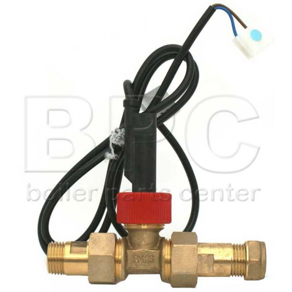 Worcester Flow Switch Assembly 87161200690