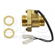 Worcester Flowswitch Assembly 24I Rsf 87161209710