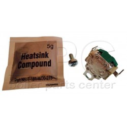 Worcester High Limit Stat 120 Dec 87072061960