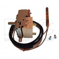 Worcester Ranco Control Stat 87161078740